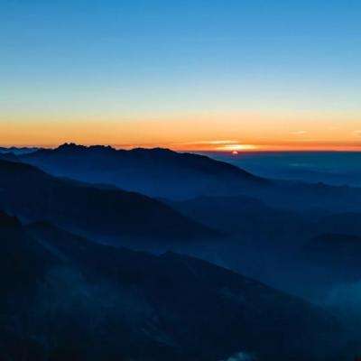 花27万拍下网红摊位老板喉咙喊哑了